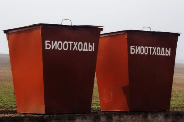 «Соғым» за отходы? В Кульсары остановлен забойный цех