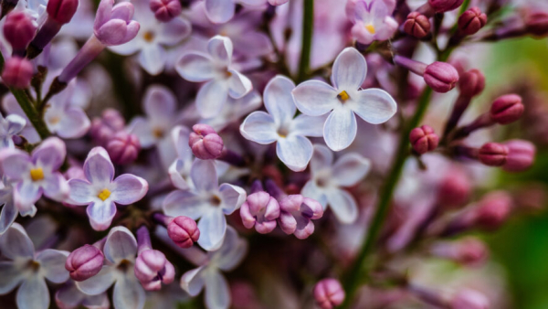 Лето не наступит: стало известно, какая погода ожидается на майских праздниках 24/04/2026 &ndash; Новости