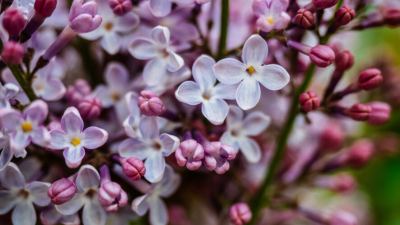 Лето не наступит: стало известно, какая погода ожидается на майских праздниках 24/04/2026 &ndash; Новости