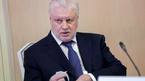 Депутат Миронов призвал увеличить срок и размер декретных выплат