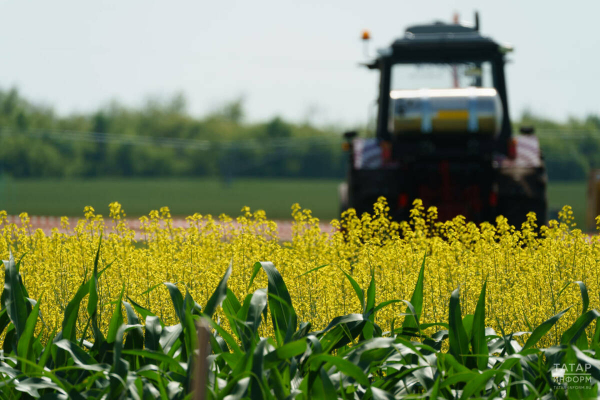 В Татарстане на модернизацию информационной системы АПК направят 27 млн рублей