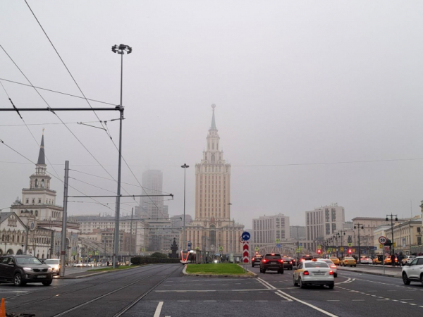 Синоптик Паршина ответила, когда в Москве растает снег