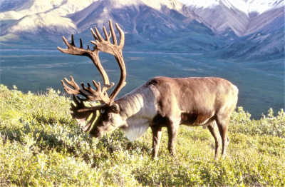 blog image