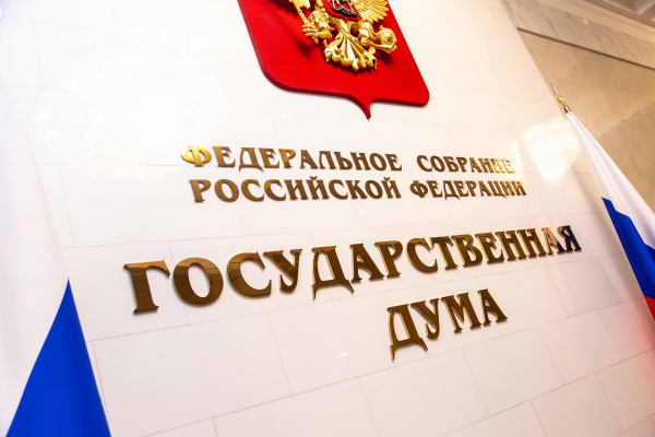 Депутаты от ЛДПР призвали запретить въезд в Россию иностранцам с судимостью