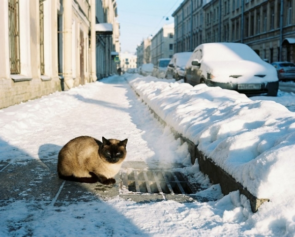 В Гидрометцентре рассказали, чего ждать Татарстану на стыке зимы и весны