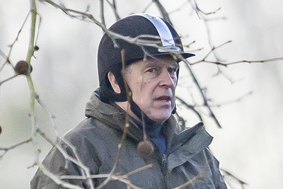 Брата короля Великобритания отпустили после задержания по&nbsp;делу Эпштейна