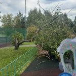 Ураган в Москве: падают деревья, срывает кровли, есть погибший