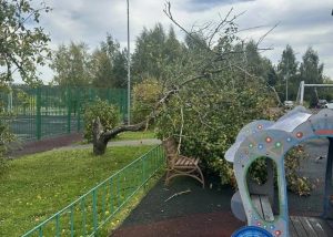 Ураган в Москве: падают деревья, срывает кровли, есть погибший