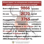 Клещевой сезон продолжается: почти 10 000 татарстанцев обратились с укусами клещей