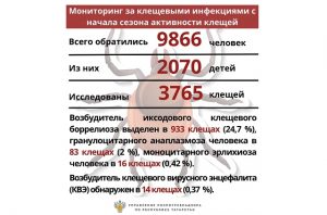 Клещевой сезон продолжается: почти 10 000 татарстанцев обратились с укусами клещей