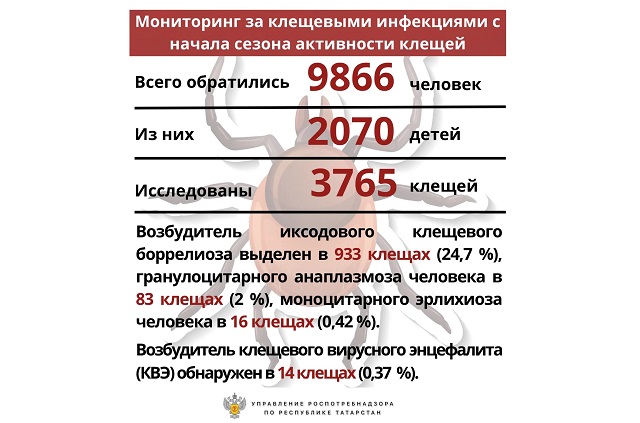 Клещевой сезон продолжается: почти 10 000 татарстанцев обратились с укусами клещей