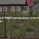 Дачники в ХМАО распродают участки за бесценок