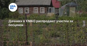 Дачники в ХМАО распродают участки за бесценок