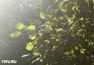 В Татарстане 28 сентября воздух прогреется до +23 градусов