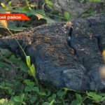 В Татарстане с пенсионерки требуют 1,5 млн за пожар, устроенный неизвестным