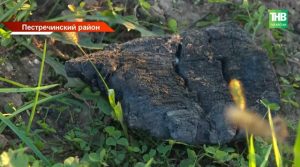 В Татарстане с пенсионерки требуют 1,5 млн за пожар, устроенный неизвестным