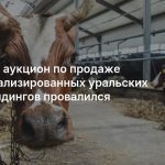 Первый аукцион по продаже национализированных уральских агрохолдингов провалился