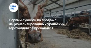 Первый аукцион по продаже национализированных уральских агрохолдингов провалился
