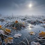 Садоводам и водителям на заметку: в Татарстане вновь ожидаются заморозки до -2