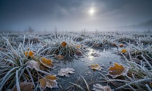 Садоводам и водителям на заметку: в Татарстане вновь ожидаются заморозки до -2