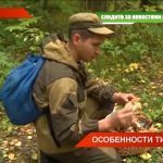 Какие грибы еще можно успеть собрать в октябре в регионах России