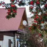 Плачу за участок вдвое меньше: как не переплачивать земельный налог