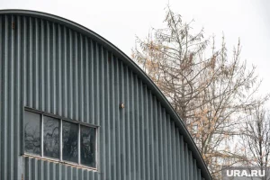 Под Курганом выставили на продажу комплекс мясокомбината за 35 млн рублей