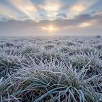 Из-за заморозков и переувлажнения почвы в Татарстане ввели режим ЧС