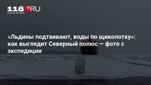 «Льдины подтаивают, воды по щиколотку»: как выглядит Северный полюс — фото с экспедиции