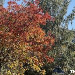 До +16 градусов и дожди: погода в Татарстане 7 октября