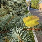 Метеоролог предупредил о неприятном сюрпризе погоды на фоне потепления в Татарстане