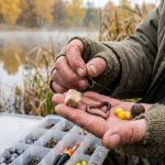 Стали известны лучшие осенние приманки для карася: на что клюет в холодной воде