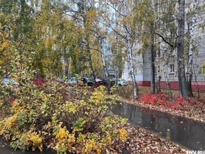 Утром местами дожди, днем без осадков: прогноз для Татарстана