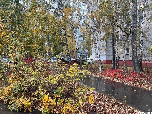 Утром местами дожди, днем без осадков: прогноз для Татарстана