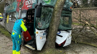 Туристический автобус врезался в дерево в Брюсселе