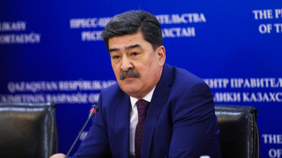 "Недопустимо для нормального человека": глава Минэкологии - о случаях жестокого обращения с животными в Казахстане