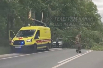 Ветер сломал 19 деревьев в Казани – пострадали авто