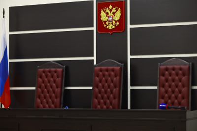 В Казани вынесли приговор девушке, укравшей двух щенков чихуахуа