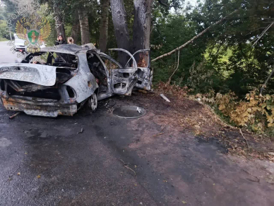 В Зеленодольске 6 подростков погибли в ДТП – их автомобиль врезался в дерево и загорелся