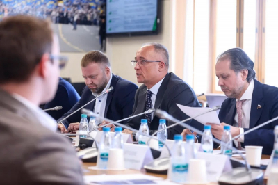 Константин Бабкин назвал конкретные меры поддержки производителей ДСТ