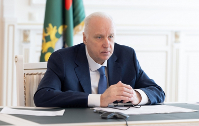 Бастрыкин потребовал доложить о нападении пса на ребенка в Нижнекамске