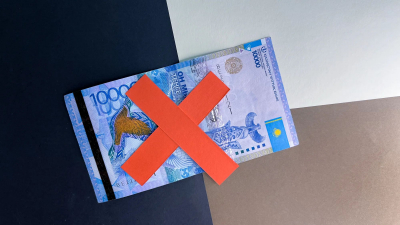 Более 300 дропперов выявили в области Жетысу