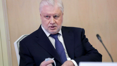 Депутат Миронов призвал увеличить срок и размер декретных выплат