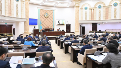 Сенат одобрил в двух чтениях поправки в закон по вопросам обеспечения прав женщин и безопасности детей